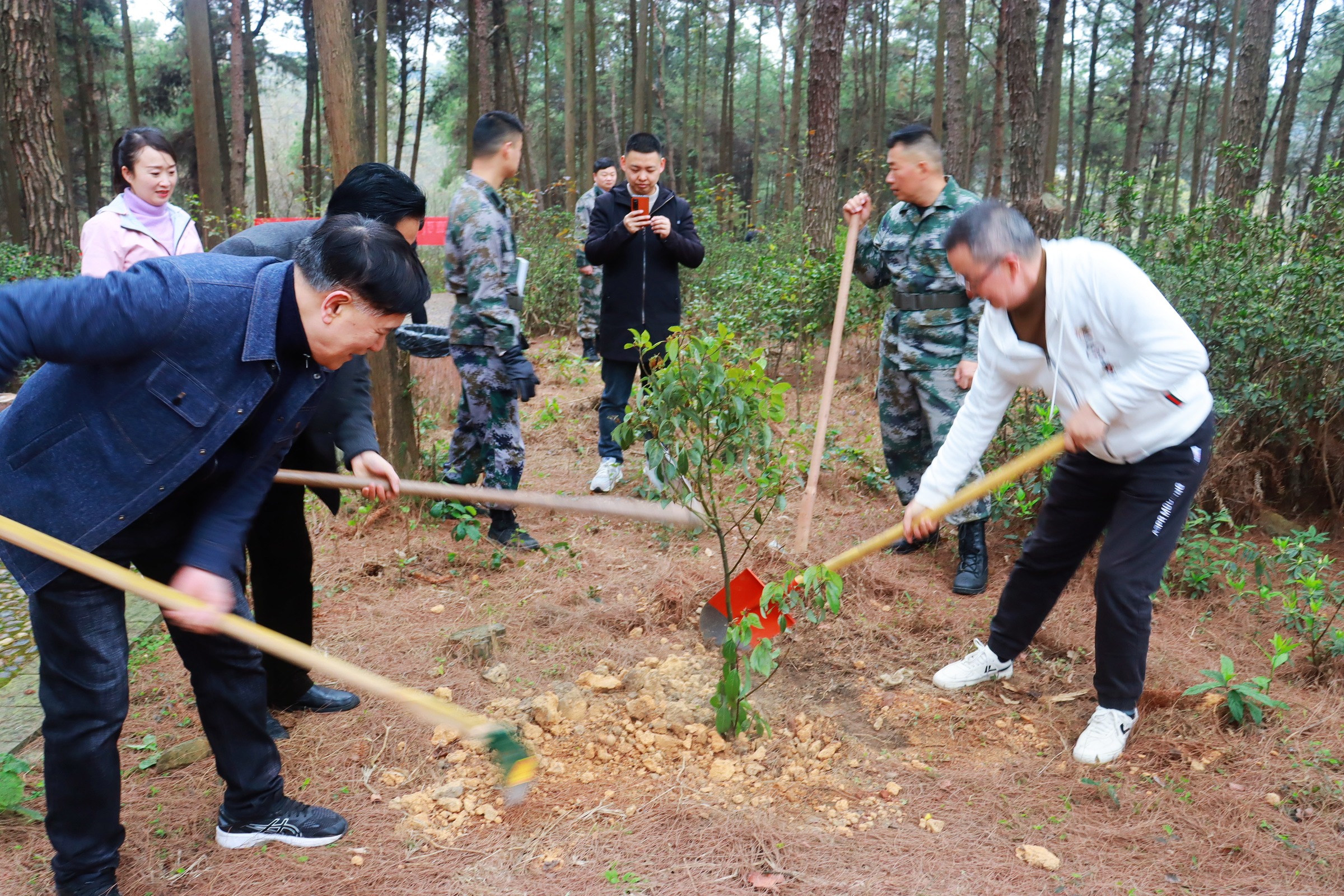 37000cm威尼斯(中国)有限公司官网